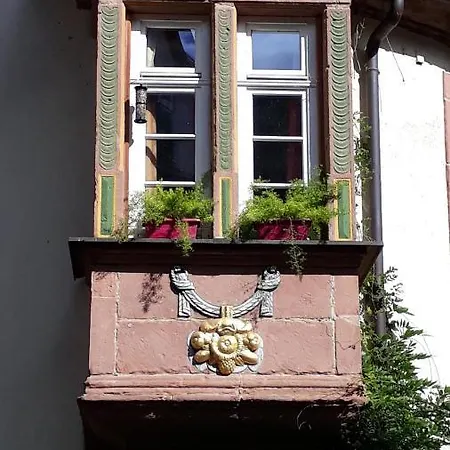度假居 Wuerzgarten 乌尔齐希