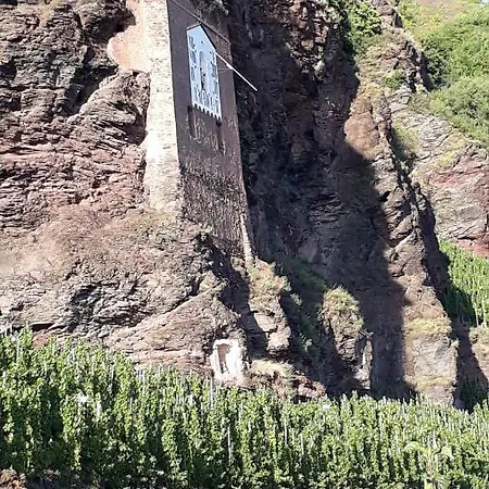 Wuerzgarten Holiday home *